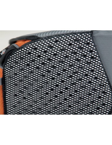 Bertoni Laser 20 Apple Zaino