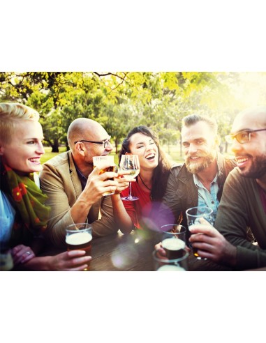 Bertoni Set Birreria 220x67 Ignifugo-TUV