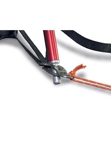 Bertoni Stealth 4 Tenda a Igloo